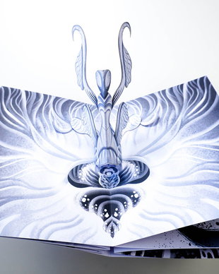 Insecte - Carte Pop-up/3D Alb Negru