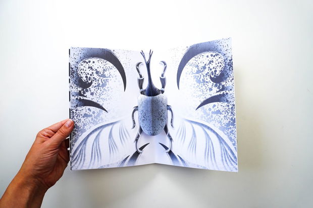 Insecte - Carte Pop-up/3D Alb Negru