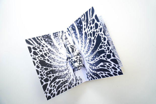 Insecte - Carte Pop-up/3D Alb Negru