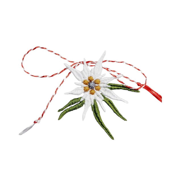 Martisor floare de colt