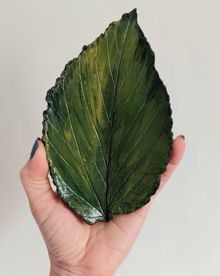 Farfurioara frunza