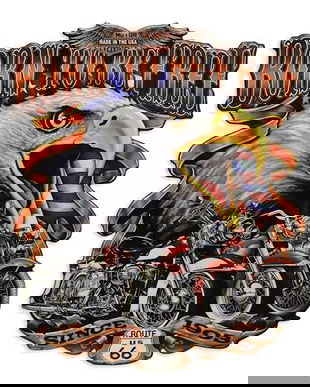 Decoratiune metalica"nascut liber"