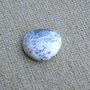 Caboson opal dendritic (F41-5)
