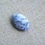 Caboson opal dendritic (F41-5)