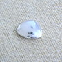 Caboson opal dendritic (F41-5)