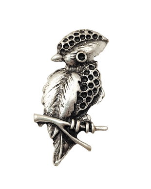 Brosa ciocanitoare, Brs004