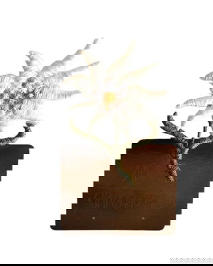 Brosa floare de colt