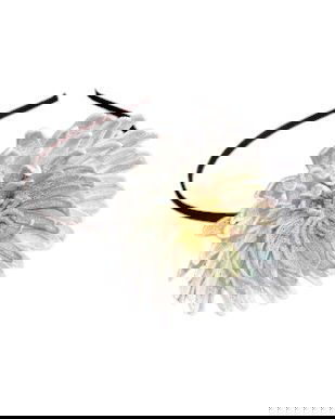 Cordeluta cu crizantema