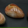Agat Sardonyx - set pietre polisate
