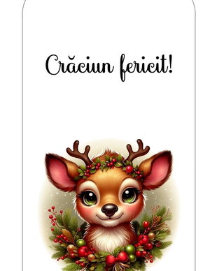 Tag Craciun/ Eticheta Craciun pentru cadouri