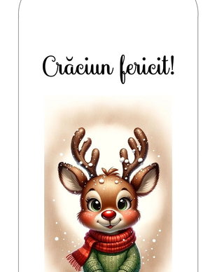 Tag Craciun/ Eticheta Craciun pentru cadouri