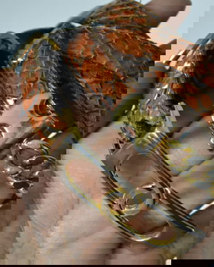 Curea Aldemaro da Fiesole din piele de sarpe