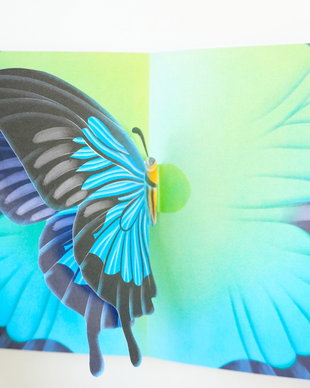 Carte Pop-up Handmade cu Fluturi - Kit sau Carte deja Asamblată