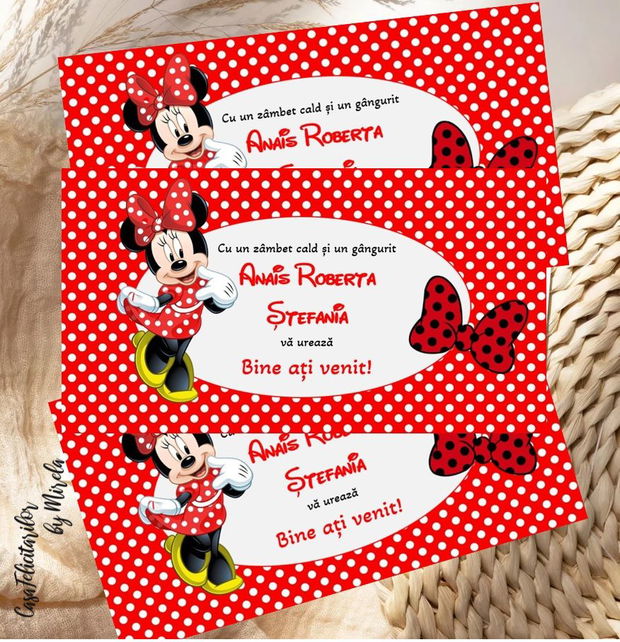 Plicuri bani  botez Minnie mouse