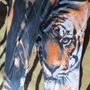 pantaloni colorati Shein XXXL