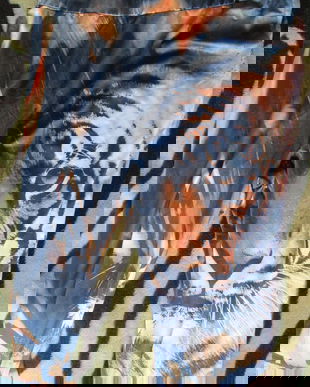 pantaloni colorati Shein XXXL