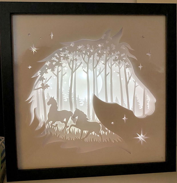 tablou 3d cu iluminare (shadowbox)