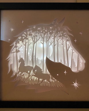 tablou 3d cu iluminare (shadowbox)