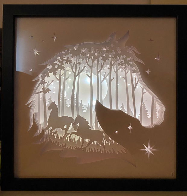 tablou 3d cu iluminare (shadowbox)