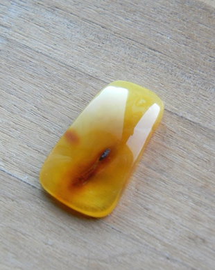 Caboson free form chihlimbar (MN 14)