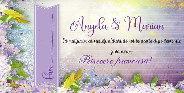 Plicuri bani nunta