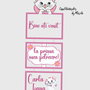 Banner Bine ati venit! - Pisicuta Marie
