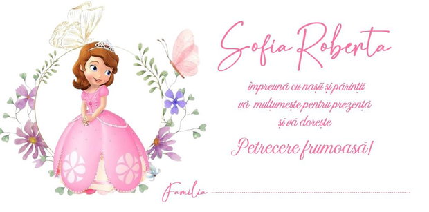 Plicuri de bani Printesa Sofia