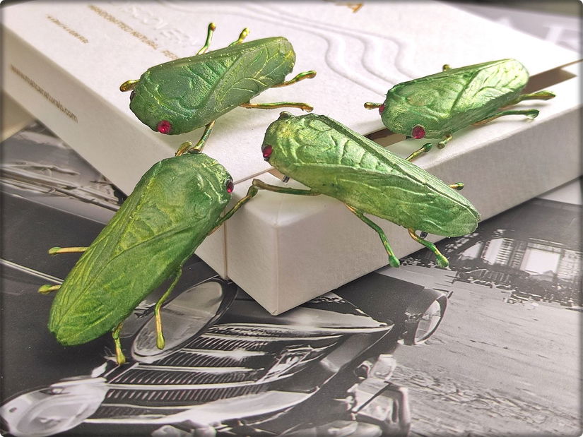 Brosa cicada  verde