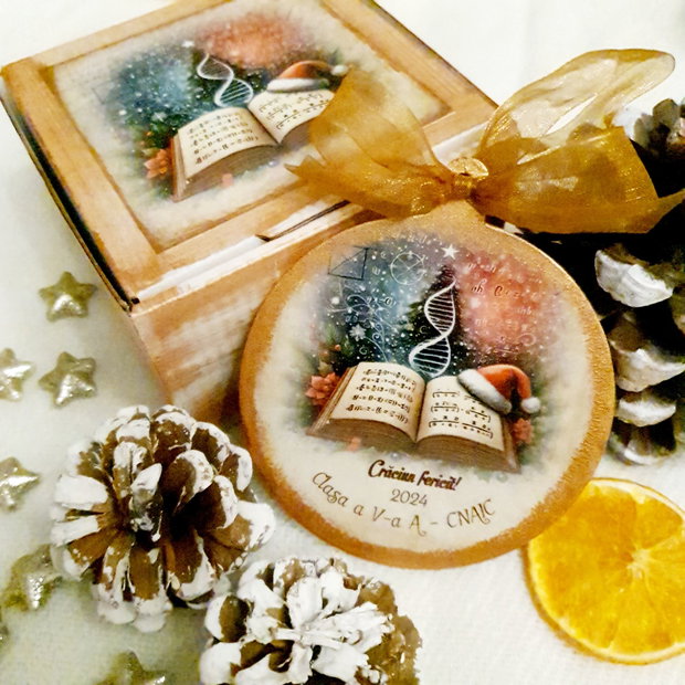 Decoratiune personalizata pentru Craciun, in forma de glob, materii scolare, cadou profesori Craciun