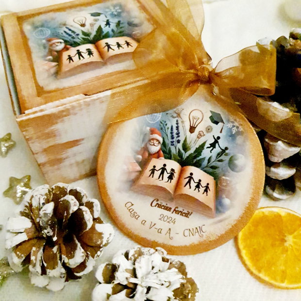 Decoratiune personalizata pentru Craciun, in forma de glob, materii scolare, cadou profesori Craciun