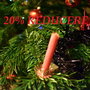 Reducere 20% la toate produsele! SANTA20