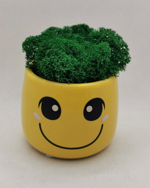 Ghiveci Smiley cu licheni stabilizati verzi