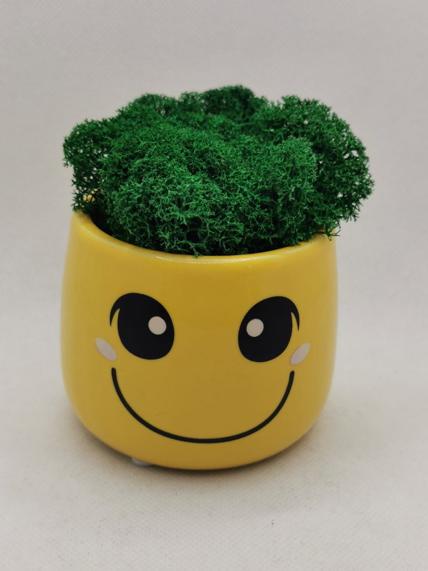 Ghiveci Smiley cu licheni stabilizati verzi