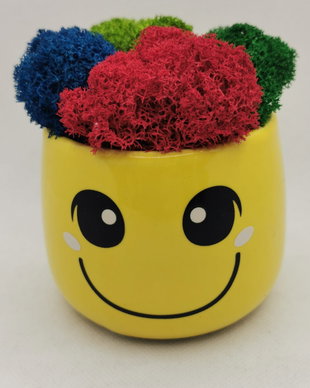 Ghiveci Smiley cu licheni stabilizati multicolori