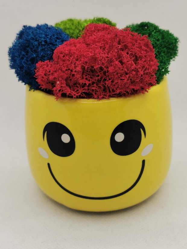 Ghiveci Smiley cu licheni stabilizati multicolori