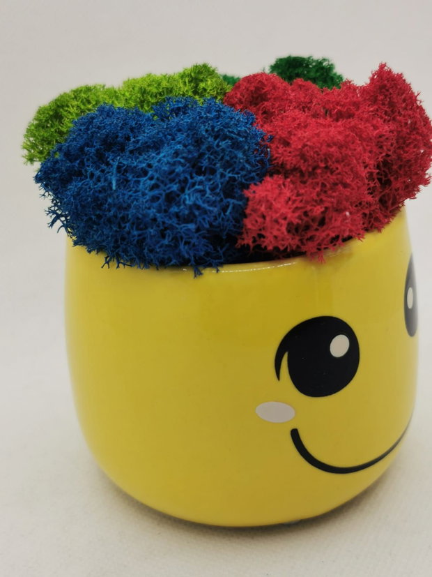 Ghiveci Smiley cu licheni stabilizati multicolori