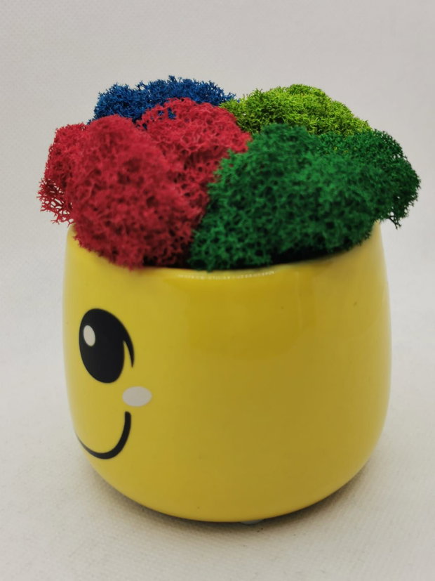 Ghiveci Smiley cu licheni stabilizati multicolori