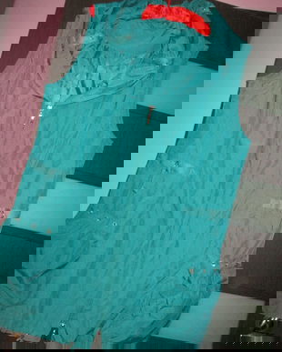 vesta  deosebita dame L