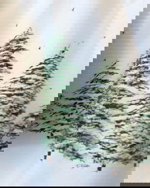 Camasa pictata cu braduti inzapeziti