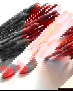 set cu ramuri de coral 47129