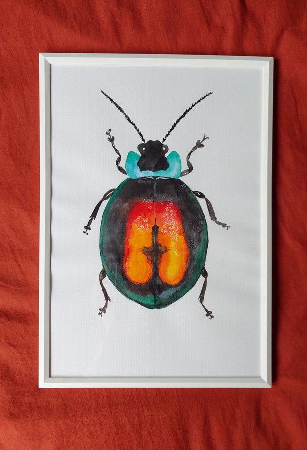 Tablouas Acuarela Insecta