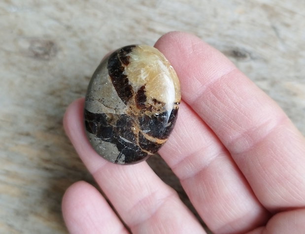 Cabochon septarian, 38x29 mm