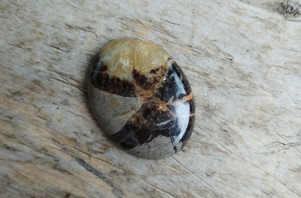 Cabochon septarian, 38x29 mm