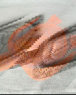 Broasca testoasa lemn 253