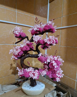 Bonsai cires unicat