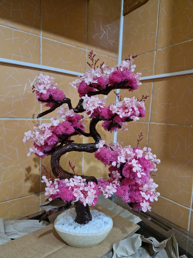 Bonsai cires unicat