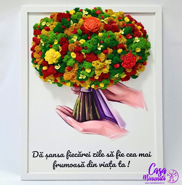 Armonia Naturii