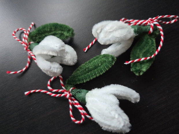 Martisor brosa