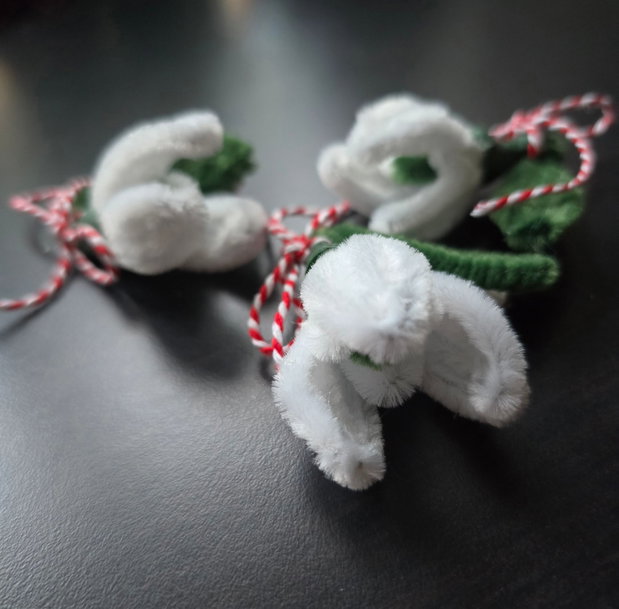 Martisor brosa