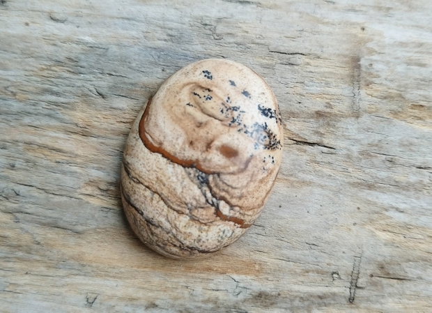 Cabochon picture jasper, 40x30 mm